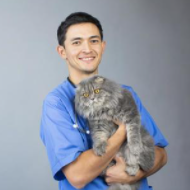 話している人物の写真:男性9